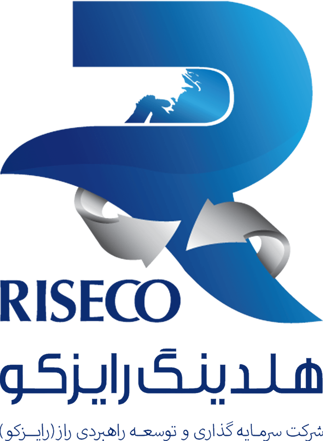 هلدینگ رازیکو